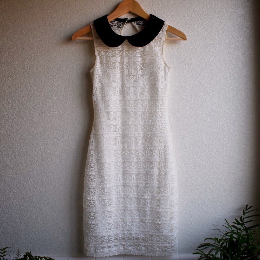 Collared Bodycon Lace Dress